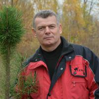 Отзыв от ФёдорФ - DTV виза